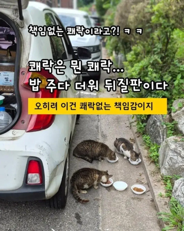 1.jpg " 책임없는 쾌락이란 단어를 쓰지마세요.... " . jpg