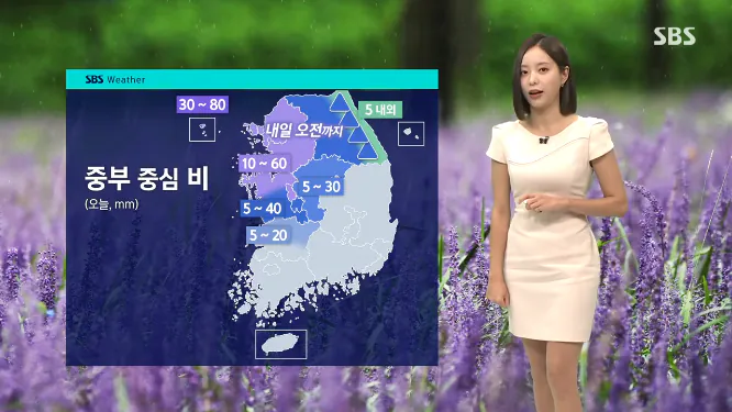Screenshot 2026-08-21 at 06-58-02 날씨 중부 중심 최대 60㎜ 비…충청 이남 폭염특보.png [날씨] 중부 중심  비…충청 이남 폭염특보