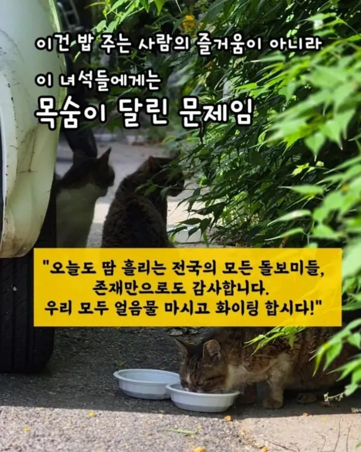2.jpg " 책임없는 쾌락이란 단어를 쓰지마세요.... " . jpg