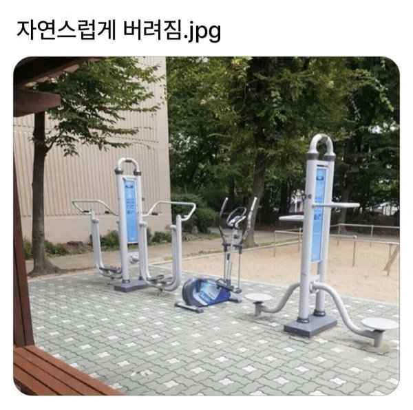 3436e3c01f19a3af350b45ad41f2a5a3f03096b36dbfb1dc2117ad50ba02a99b.jpg