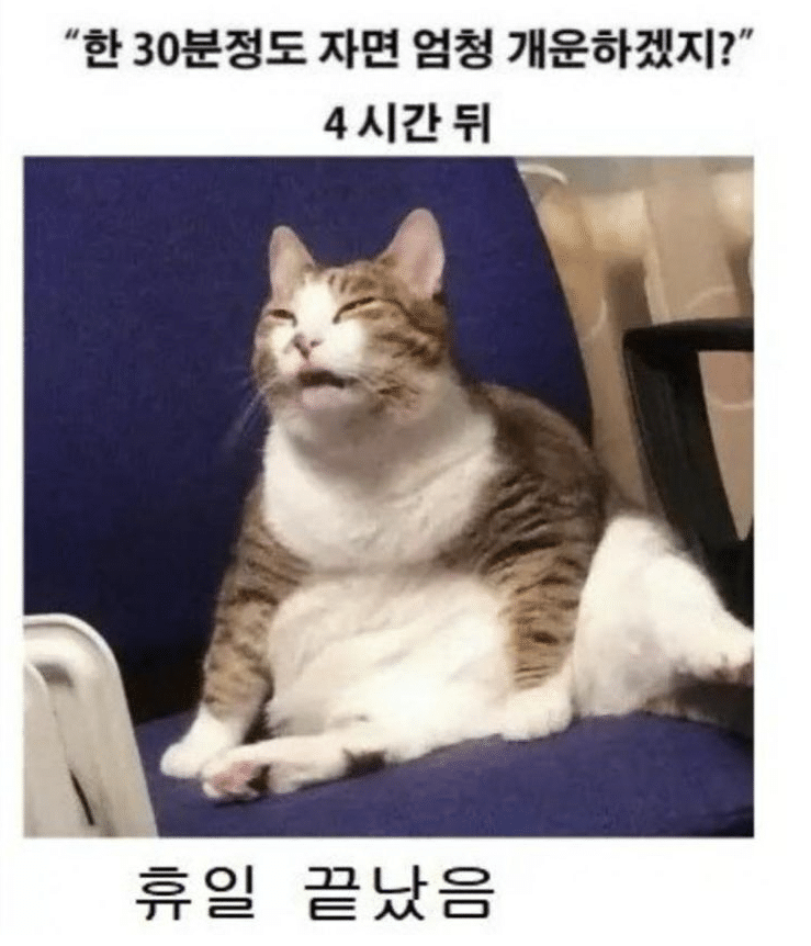 3c7a4bbed6c24c9abd91866f2b5a10f67aca5c6e13f3cee607b027d1f1cafc0d.png