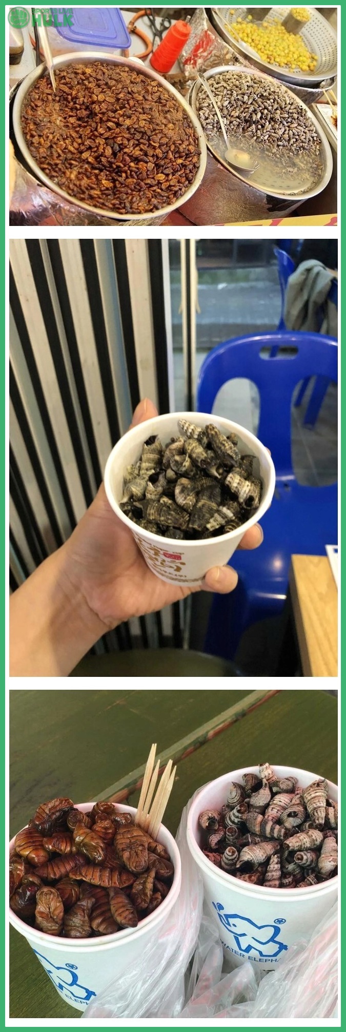 98e958330346339c63dfa32b6139446c4688e758b942ff5568a526326d49a8f0.jpg