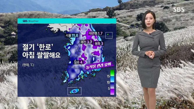 Screenshot 2026-10-08 at 06-45-52 날씨 '한로' 맞아 쌀쌀한 아침…큰 일교차 주의.png [날씨] 당분간 일교차 15도 안팎…낮에는 포근