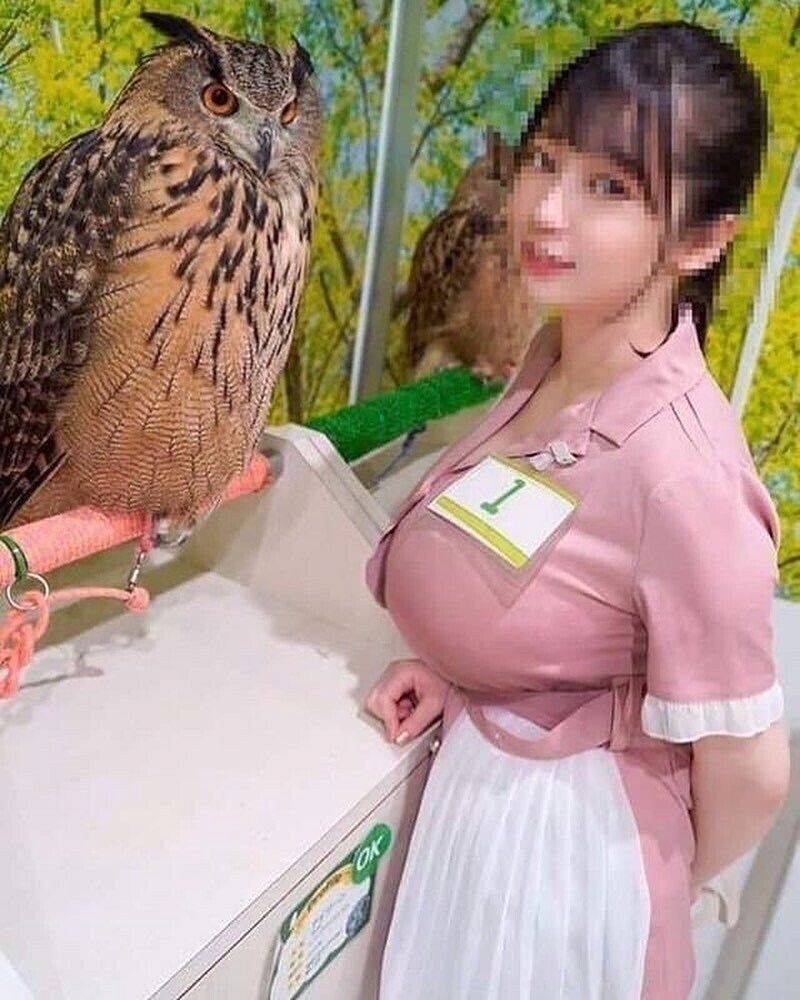 b7403e8ebfb57a72118edd6a84f87f2574fa1509936375d0fb28d2383ba1028f.png