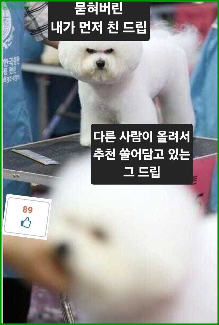 c834235a6306fdb08c435281baac12c0a097958c0cda3167c119272e101b3f0c.jpg