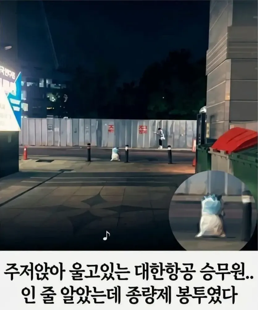 906f6316ad4b53d627253b31defb1cf8_1788813887_3129.jpg.ren.webp 길거리에 주저앉아 울고있는 비행 승무원