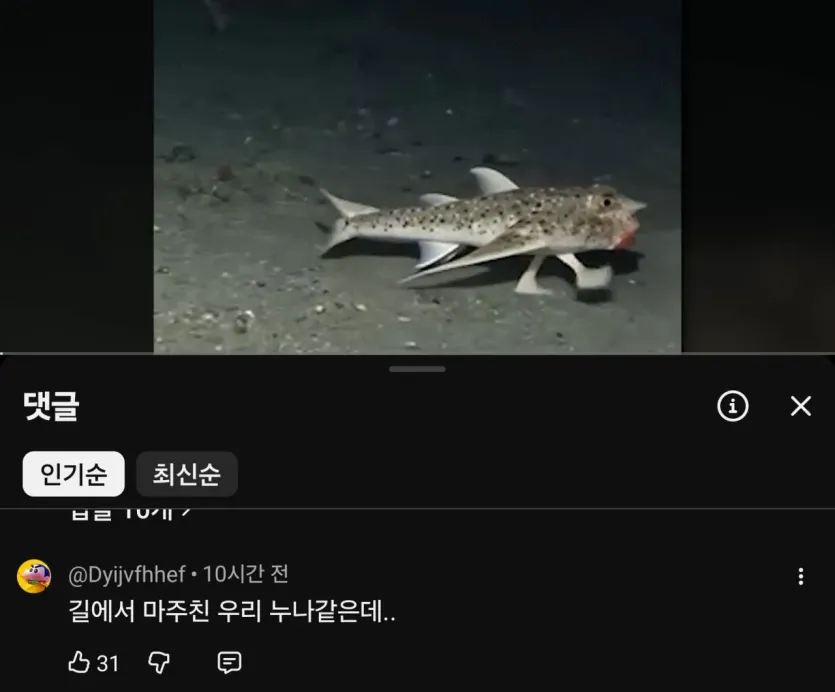 1000019175.jpg 오늘자 뉴스 댓글보고 빵터짐