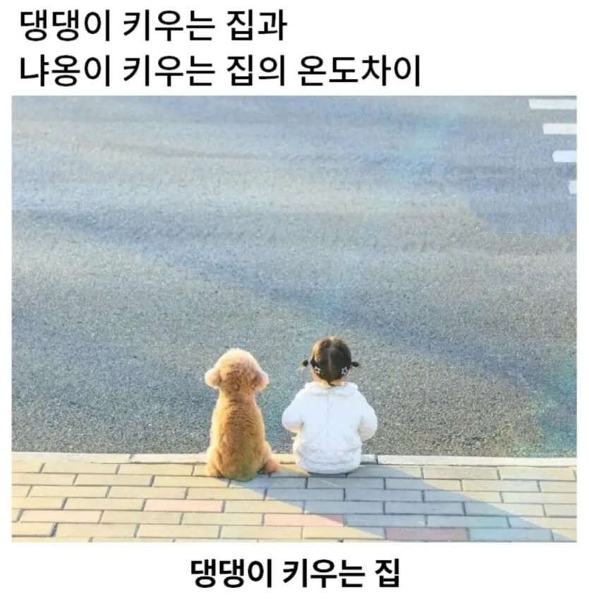 25e6361e885ec5b17d047957e1baa83fb22dd99db256883fe6404b7305ab95b6.jpg