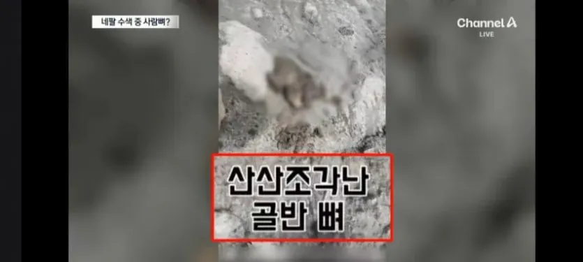 1788501394.jpg 네팔에간 한국인 산악인 근황