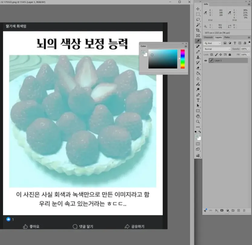 딸기색은 무슨색 인가요?.jpg