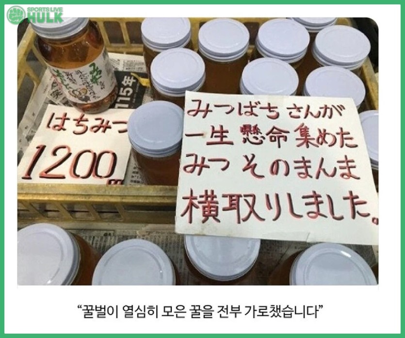 3a384ed87be4a8a66e8512ea060b03101c46cd82bced9a7204397c0cf4ef0881.jpg