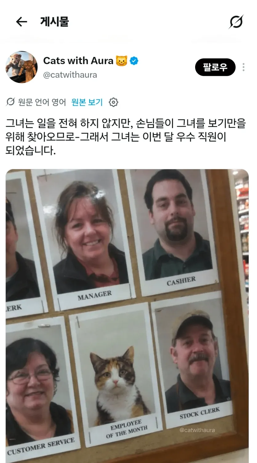 일은 안하는데 우수직원으로 뽑힘