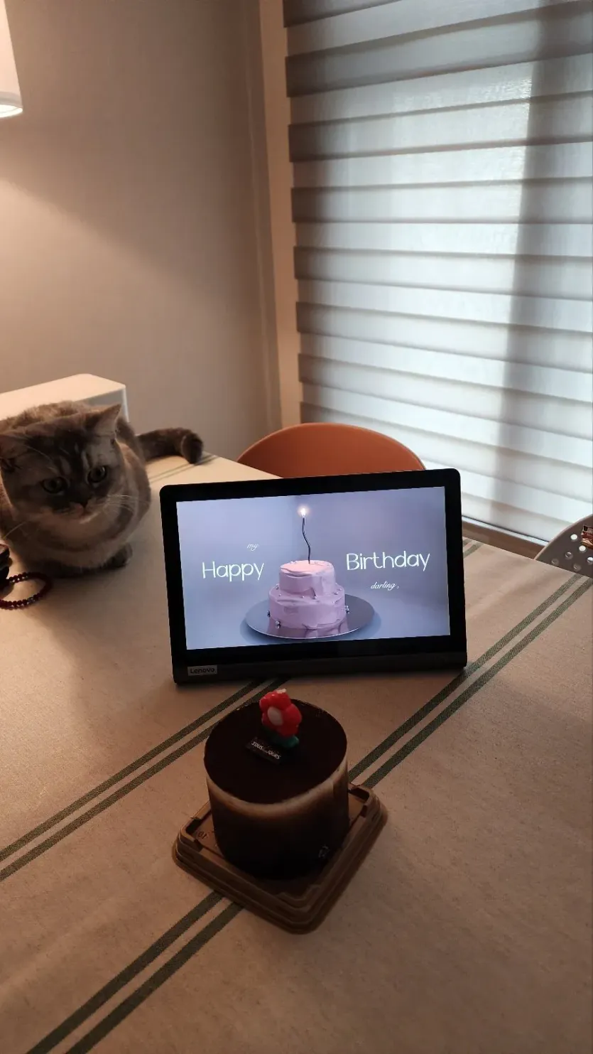 우리집 고양이 생일파티!