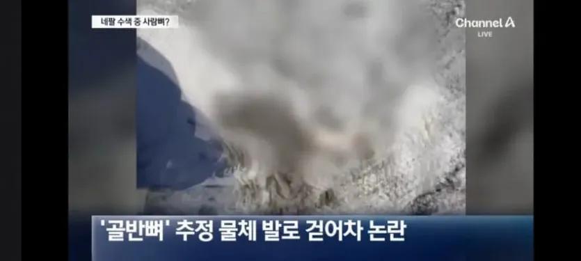 1788501393-1.jpg 네팔에간 한국인 산악인 근황