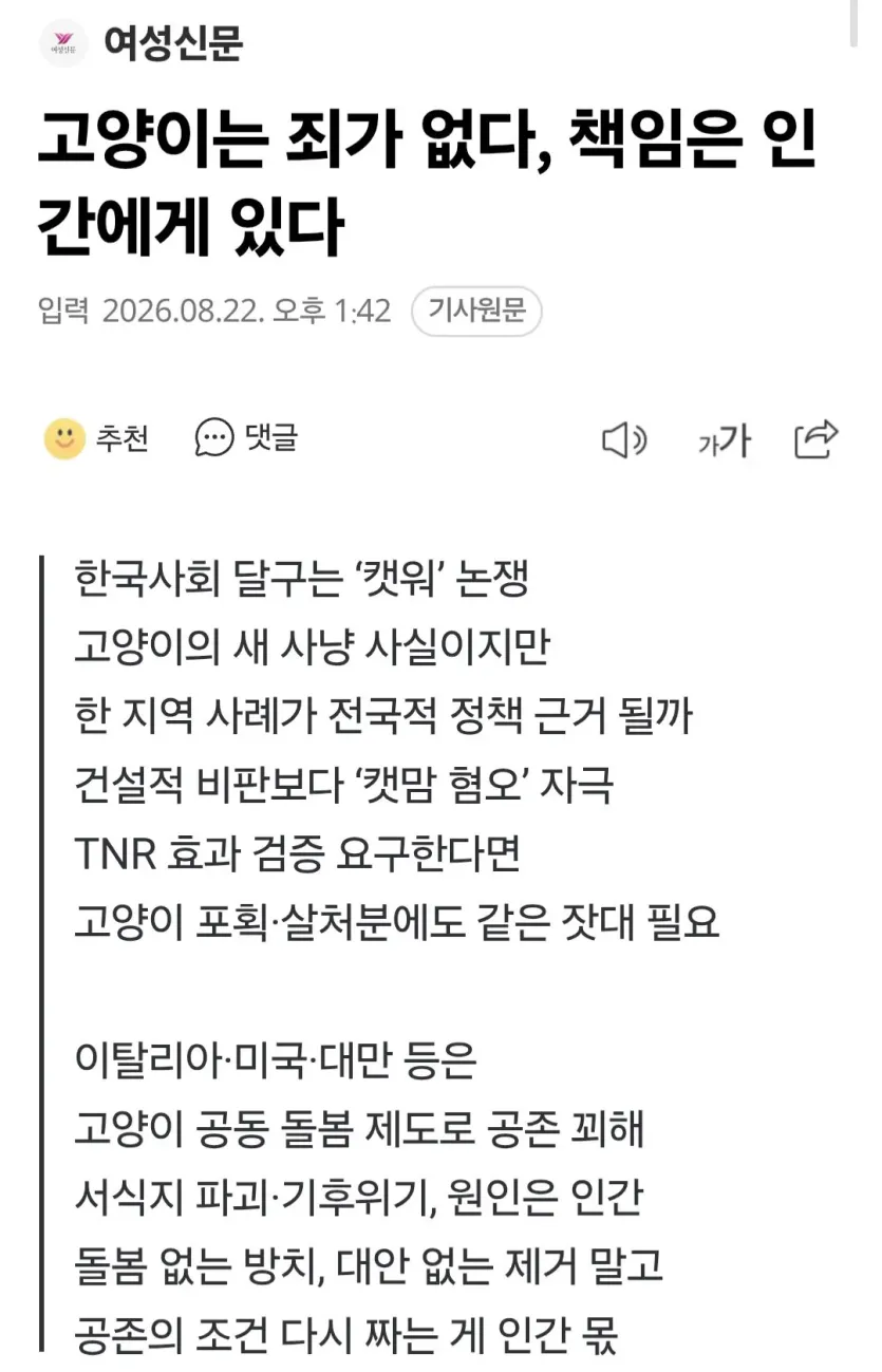 &lt;여성신문&gt;고양이는 죄가 없다, 책임은 인간에게 있다