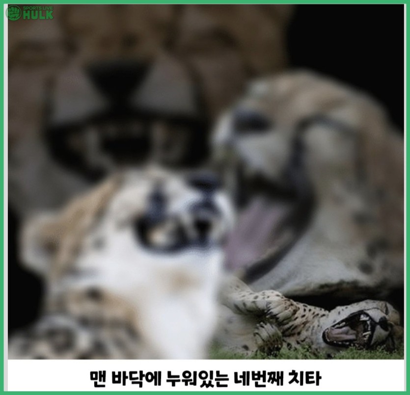 830aa8092efb4e70cbd4aa41e13a35f26471ee125a5080df601b974b96e8a58c.jpg