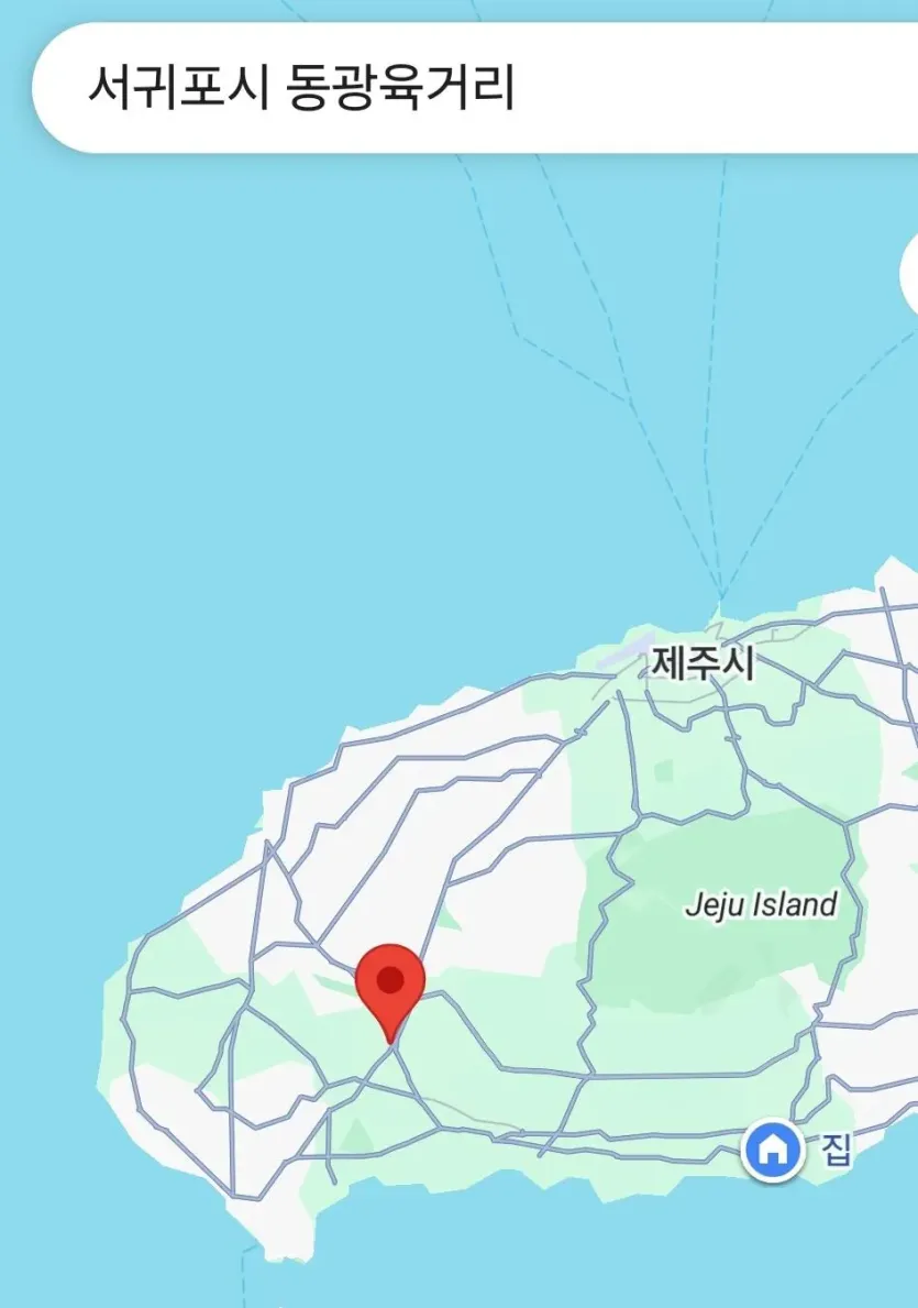 Screenshot_20260908_063519_Maps.jpg 제주도 동광육거리 배수로에서 시신발견