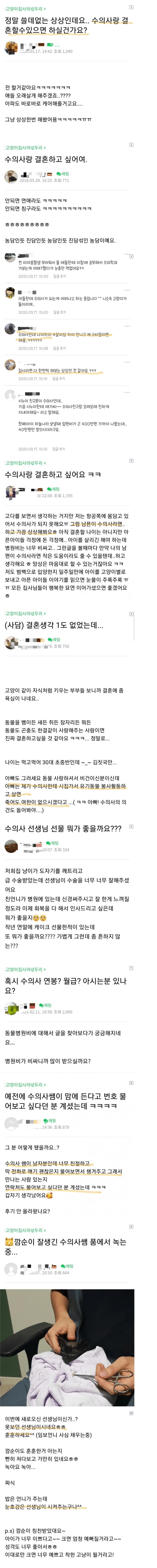 65189.png 수의사랑 결혼하고 싶은 캣맘