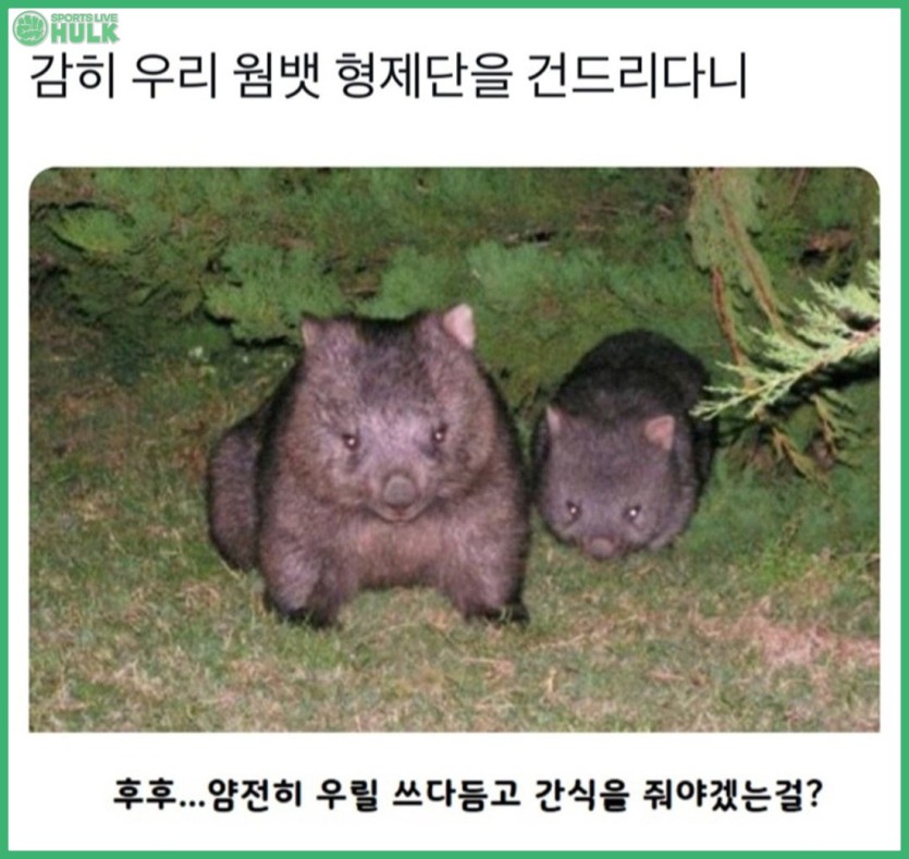 d8a47ff4ca98100dee1d8e387b1d6d3171b05bc0e299099cb904a9c271e5fc38.jpg