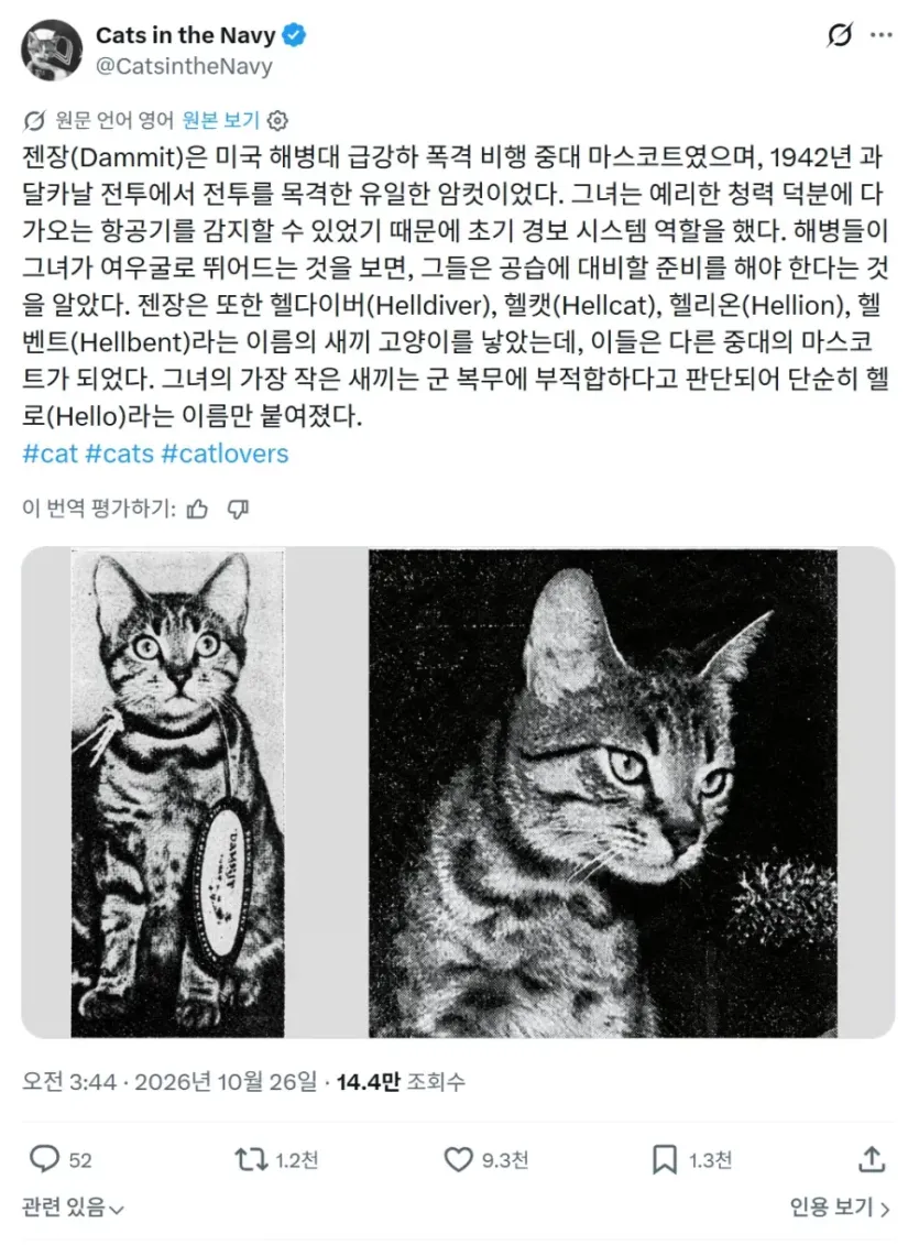 미국 해병대 중대 마스코트였던 고양이.jpg