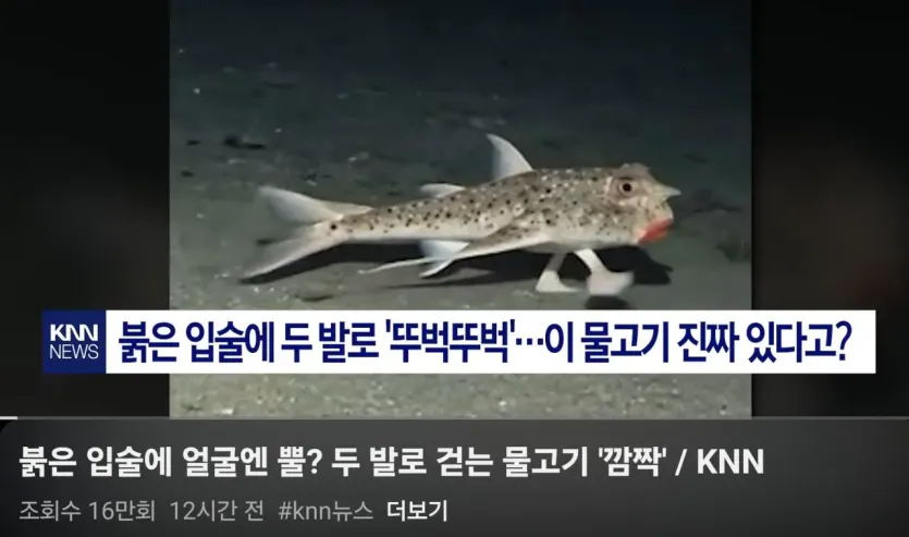 1000019176.jpg 오늘자 뉴스 댓글보고 빵터짐