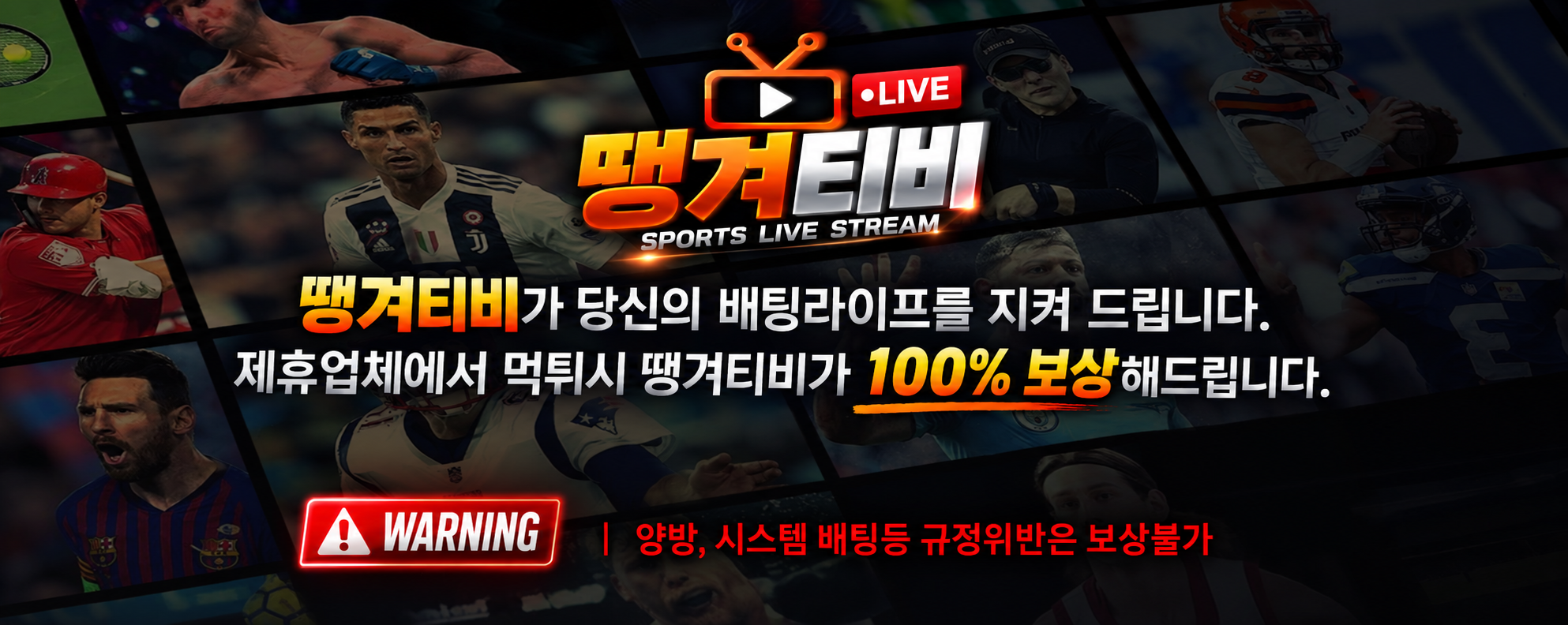 보증업체